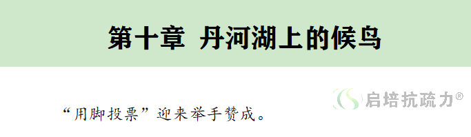 这是标题一