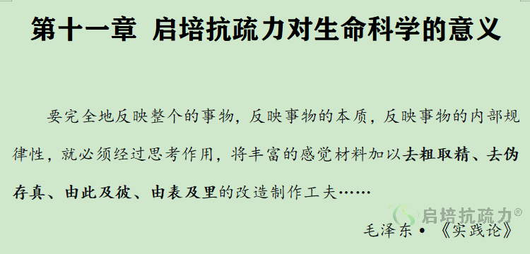 这是标题一